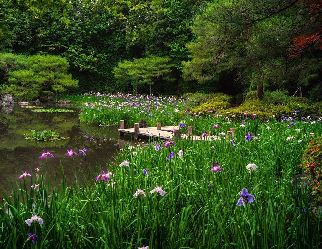 🌳 지광산 공원(치코잔 코엔) 이미지 6